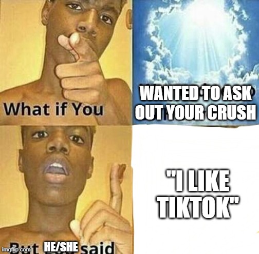 Don't misread it | WANTED TO ASK OUT YOUR CRUSH; "I LIKE TIKTOK"; HE/SHE | image tagged in what if you wanted to go to heaven | made w/ Imgflip meme maker