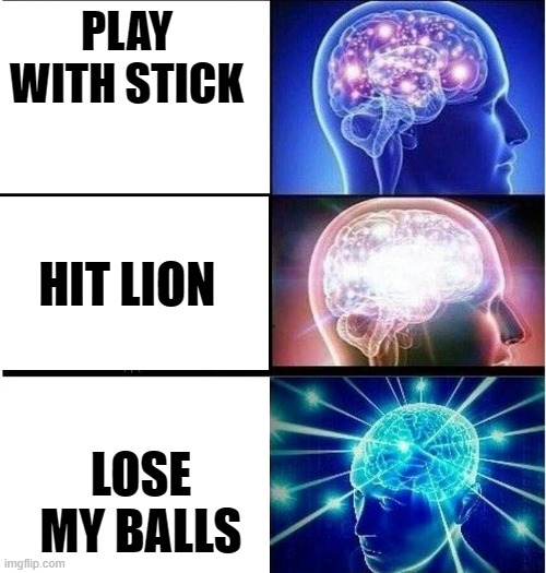 Expanding brain 3 panels | PLAY WITH STICK LOSE MY BALLS HIT LION | image tagged in expanding brain 3 panels | made w/ Imgflip meme maker