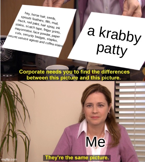 They're The Same Picture | hay, horse hair, seeds, sprouts feathers, filth, mud, muck, red paint, hair spray, ink stains, scotch tape, finger prints, mayonnaise, face powder, paper cuts, security badges, staples, secret service agents and coffee stains; a krabby patty; Me | image tagged in memes,they're the same picture | made w/ Imgflip meme maker