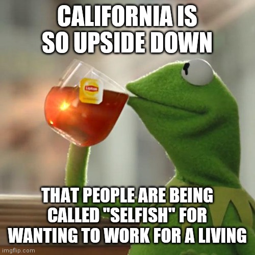 But That's None Of My Business Meme | CALIFORNIA IS SO UPSIDE DOWN; THAT PEOPLE ARE BEING CALLED "SELFISH" FOR WANTING TO WORK FOR A LIVING | image tagged in memes,but that's none of my business,kermit the frog | made w/ Imgflip meme maker