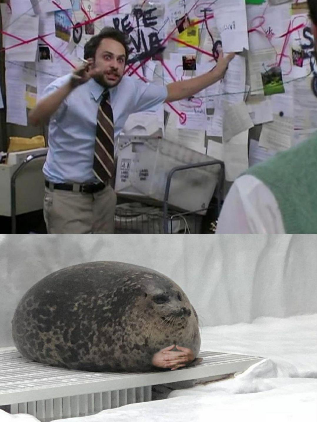 High Quality Charlie Day Explains to a Seal Blank Meme Template