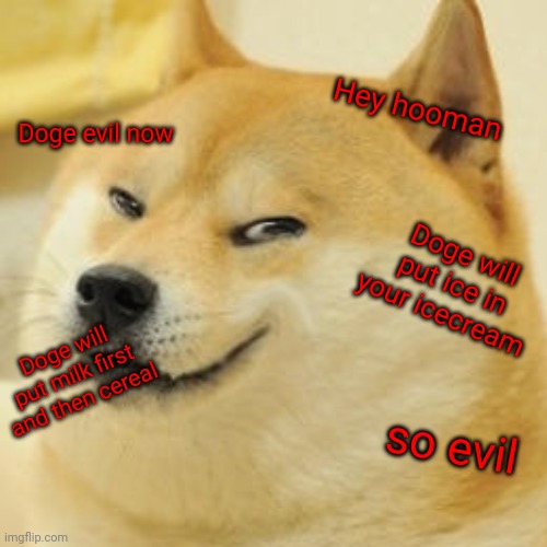 Doge evil now | Hey hooman; Doge evil now; Doge will put ice in your icecream; Doge will put milk first and then cereal; so evil | image tagged in gotanypain | made w/ Imgflip meme maker
