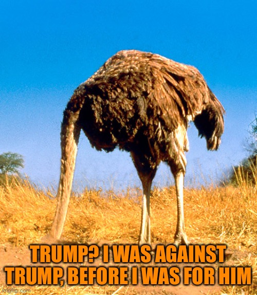 Denial Be Like | TRUMP? I WAS AGAINST TRUMP, BEFORE I WAS FOR HIM | image tagged in denial be like | made w/ Imgflip meme maker