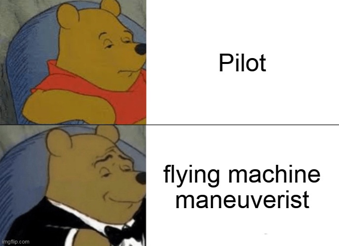 Emphasize... yet again... | Pilot; flying machine maneuverist | image tagged in memes,tuxedo winnie the pooh | made w/ Imgflip meme maker