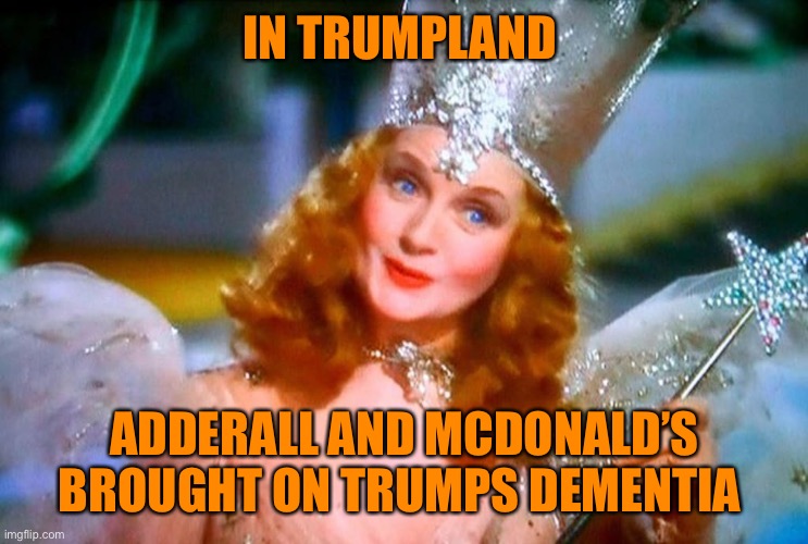 IN TRUMPLAND ADDERALL AND MCDONALD’S BROUGHT ON TRUMPS DEMENTIA | made w/ Imgflip meme maker