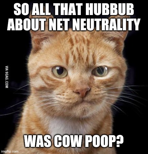 Doubting Cat | SO ALL THAT HUBBUB ABOUT NET NEUTRALITY WAS COW POOP? | image tagged in doubting cat | made w/ Imgflip meme maker