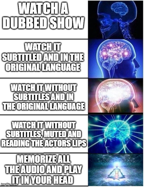 Expanding Brain 5 Panel | WATCH A DUBBED SHOW MEMORIZE ALL THE AUDIO AND PLAY IT IN YOUR HEAD WATCH IT SUBTITLED AND IN THE ORIGINAL LANGUAGE WATCH IT WITHOUT SUBTITL | image tagged in expanding brain 5 panel | made w/ Imgflip meme maker