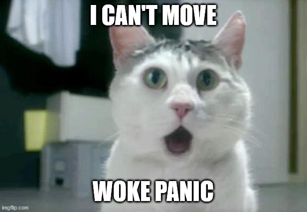 OMG Cat Meme | I CAN'T MOVE; WOKE PANIC | image tagged in memes,omg cat | made w/ Imgflip meme maker