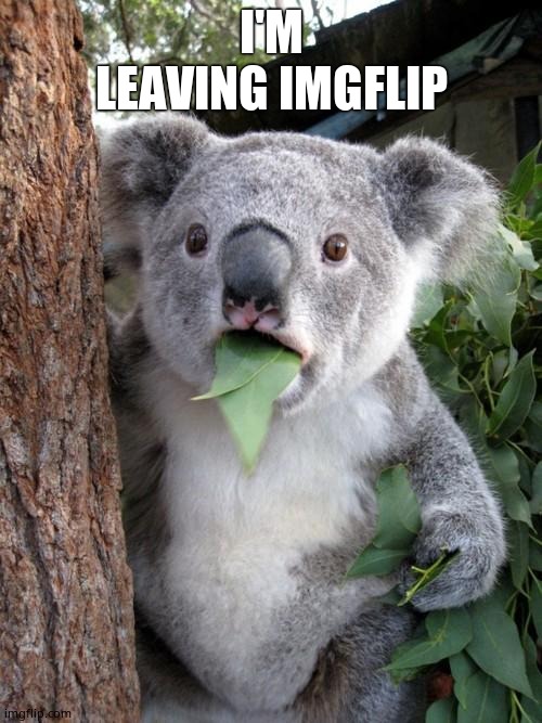 Surprised Koala Meme | I'M LEAVING IMGFLIP | image tagged in memes,surprised koala | made w/ Imgflip meme maker