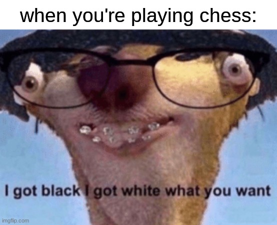 chess be like: | when you're playing chess: | image tagged in i got black i got white what ya want,funny memes,funny,memes | made w/ Imgflip meme maker