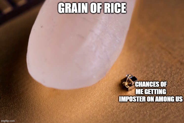 VERRRRYYYYYYY SMOL | GRAIN OF RICE; CHANCES OF ME GETTING IMPOSTER ON AMONG US | image tagged in grain of rice | made w/ Imgflip meme maker