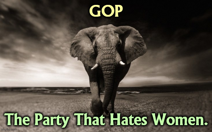 Women have picked up on it, too. | GOP; The Party That Hates Women. | image tagged in gop,republican party,misogyny,hates,women,lock her up | made w/ Imgflip meme maker