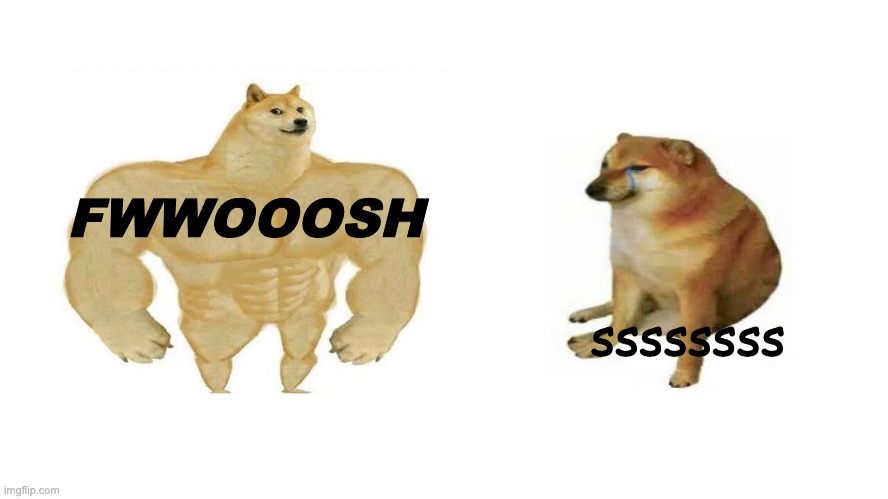 dog then now | FWWOOOSH; ssssssss | image tagged in dog then now | made w/ Imgflip meme maker