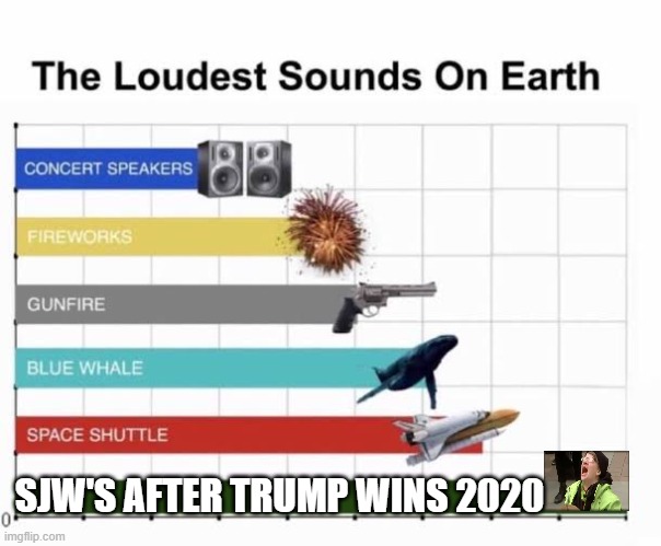 The Loudest Sounds on Earth | SJW'S AFTER TRUMP WINS 2020 | image tagged in the loudest sounds on earth | made w/ Imgflip meme maker