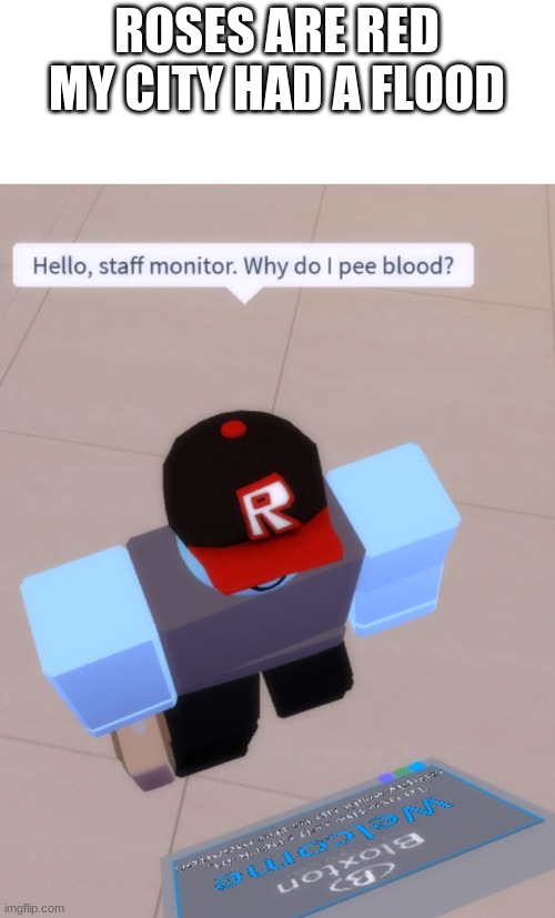 TMI | ROSES ARE RED
MY CITY HAD A FLOOD | image tagged in roblox | made w/ Imgflip meme maker