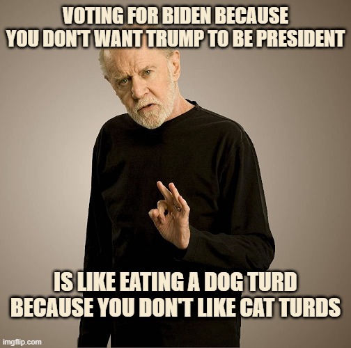 Biden Trump Turds | VOTING FOR BIDEN BECAUSE YOU DON'T WANT TRUMP TO BE PRESIDENT; IS LIKE EATING A DOG TURD BECAUSE YOU DON'T LIKE CAT TURDS | image tagged in biden,trump,choices,election,election 2020,vote | made w/ Imgflip meme maker