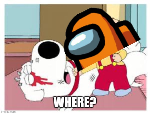 Stewie Where's My Money | WHERE? | image tagged in stewie where's my money | made w/ Imgflip meme maker