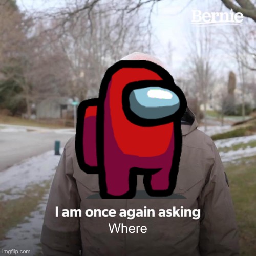 Where? | Where | image tagged in memes,bernie i am once again asking for your support | made w/ Imgflip meme maker