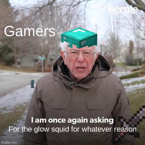 Bernie I Am Once Again Asking For Your Support Meme | Gamers; For the glow squid for whatever reason | image tagged in memes,bernie i am once again asking for your support,minecraft,cave update | made w/ Imgflip meme maker