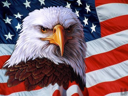 flag Blank Meme Template