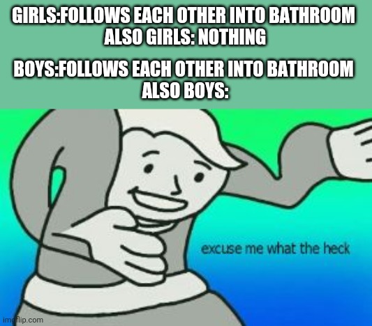 Excuse Me What The Heck | GIRLS:FOLLOWS EACH OTHER INTO BATHROOM 
ALSO GIRLS: NOTHING; BOYS:FOLLOWS EACH OTHER INTO BATHROOM 
ALSO BOYS: | image tagged in excuse me what the heck,boys vs girls | made w/ Imgflip meme maker