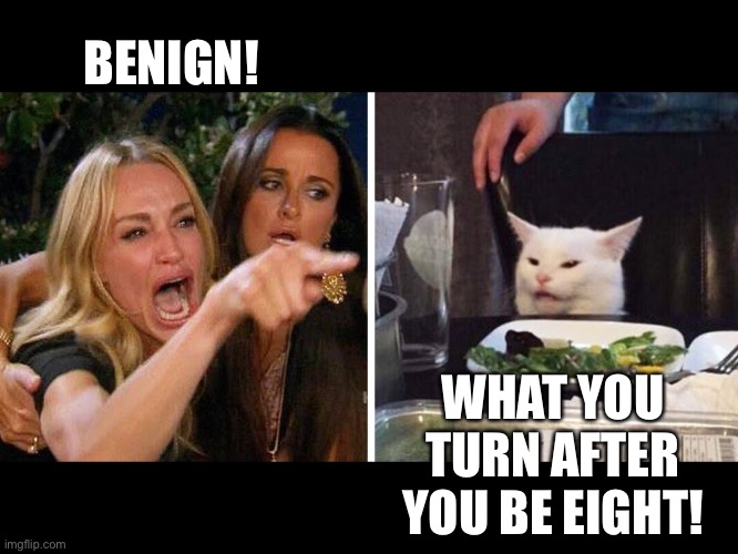 Woman yelling | BENIGN! WHAT YOU TURN AFTER YOU BE EIGHT! | image tagged in smudge the cat | made w/ Imgflip meme maker
