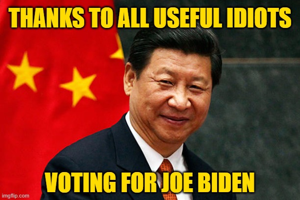 The Chinese Communist Party thanks useful idiot Biden voters | THANKS TO ALL USEFUL IDIOTS; VOTING FOR JOE BIDEN | image tagged in xi jinping,election 2020 | made w/ Imgflip meme maker