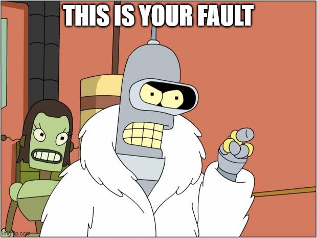 Bender Meme | THIS IS YOUR FAULT | image tagged in memes,bender | made w/ Imgflip meme maker