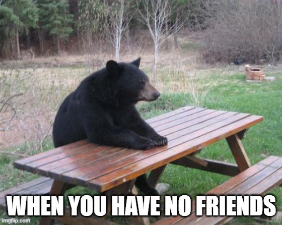 Bad Luck Bear | WHEN YOU HAVE NO FRIENDS | image tagged in memes,bad luck bear | made w/ Imgflip meme maker