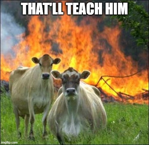 Evil Cows Meme | THAT'LL TEACH HIM | image tagged in memes,evil cows | made w/ Imgflip meme maker