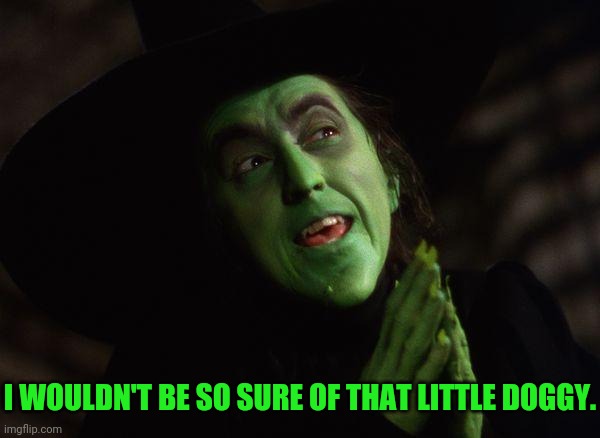 Wicked Witch West | I WOULDN'T BE SO SURE OF THAT LITTLE DOGGY. | image tagged in wicked witch west | made w/ Imgflip meme maker