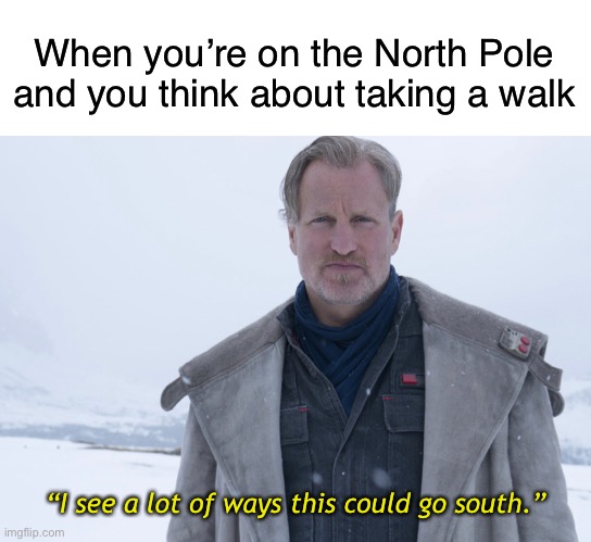 I see a lot of ways | When you’re on the North Pole and you think about taking a walk; “I see a lot of ways this could go south.” | image tagged in blank white template,memes,funny | made w/ Imgflip meme maker