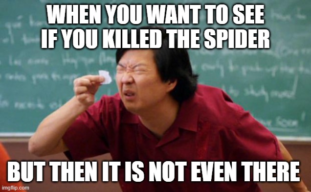 Tiny piece of paper | WHEN YOU WANT TO SEE IF YOU KILLED THE SPIDER; BUT THEN IT IS NOT EVEN THERE | image tagged in tiny piece of paper | made w/ Imgflip meme maker