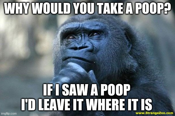 Deep Thoughts | WHY WOULD YOU TAKE A POOP? IF I SAW A POOP I'D LEAVE IT WHERE IT IS | image tagged in deep thoughts | made w/ Imgflip meme maker