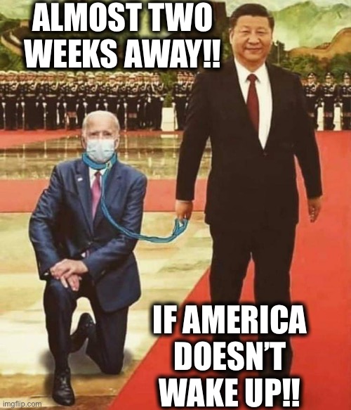 Vote Trump/Pence2020!! | ALMOST TWO WEEKS AWAY!! IF AMERICA DOESN’T WAKE UP!! | image tagged in joe biden,kamala harris,china,made in china,election 2020,memes | made w/ Imgflip meme maker