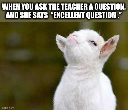Is it because it was a good question or she doesn’t know the answer? | WHEN YOU ASK THE TEACHER A QUESTION,
AND SHE SAYS  “EXCELLENT QUESTION .” | image tagged in baby goat,teacher,student,question,proud,memes | made w/ Imgflip meme maker