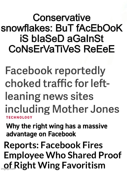 Spare me the crocodile tears. | Conservative snowflakes: BuT fAcEbOoK iS bIaSeD aGaInSt CoNsErVaTiVeS ReEeE | image tagged in facebook,left wing,right wing,bias,conservatives | made w/ Imgflip meme maker