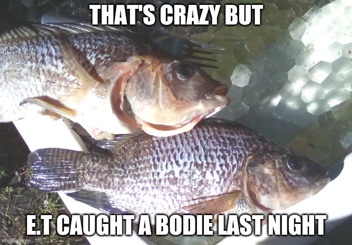 I | THAT'S CRAZY BUT; E.T CAUGHT A BODIE LAST NIGHT | image tagged in random | made w/ Imgflip meme maker