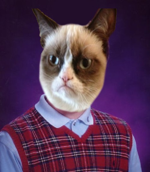 High Quality Bad Luck Grumpy Cat Blank Meme Template