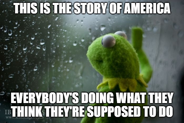 kermit window | THIS IS THE STORY OF AMERICA; EVERYBODY'S DOING WHAT THEY THINK THEY'RE SUPPOSED TO DO | image tagged in kermit window | made w/ Imgflip meme maker