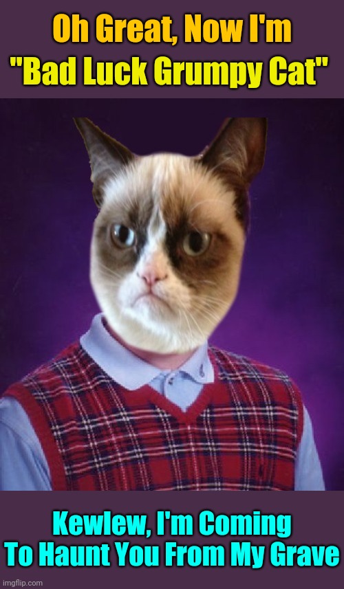 Now Grumpy Isn't Just Disrespectful But Bad Lucky Too. Thanks for creating this template Kewlew ❤️ | Oh Great, Now I'm; "Bad Luck Grumpy Cat"; Kewlew, I'm Coming To Haunt You From My Grave | image tagged in bad luck grumpy cat,memes,kewlew,grumpy cat,bad luck brian,templates combined | made w/ Imgflip meme maker