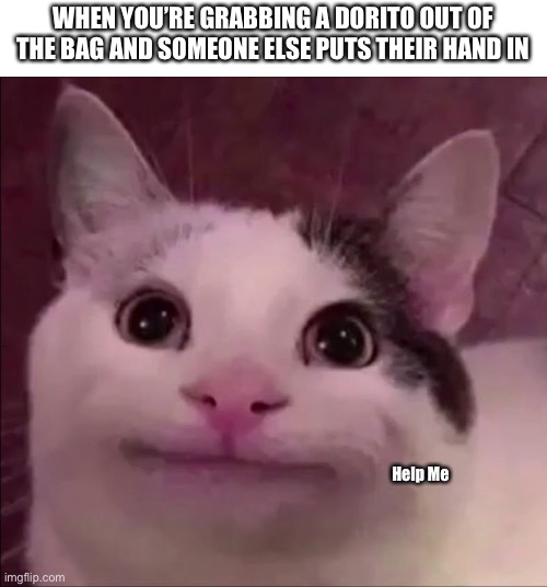 Most awkward moment I’ve ever experienced |  WHEN YOU’RE GRABBING A DORITO OUT OF THE BAG AND SOMEONE ELSE PUTS THEIR HAND IN; Help Me | image tagged in awkward smile cat,funny,memes,awkward,relatable | made w/ Imgflip meme maker