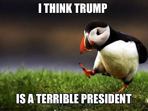 Unpopular Opinion Puffin |  I THINK TRUMP; IS A TERRIBLE PRESIDENT | image tagged in memes,unpopular opinion puffin | made w/ Imgflip meme maker