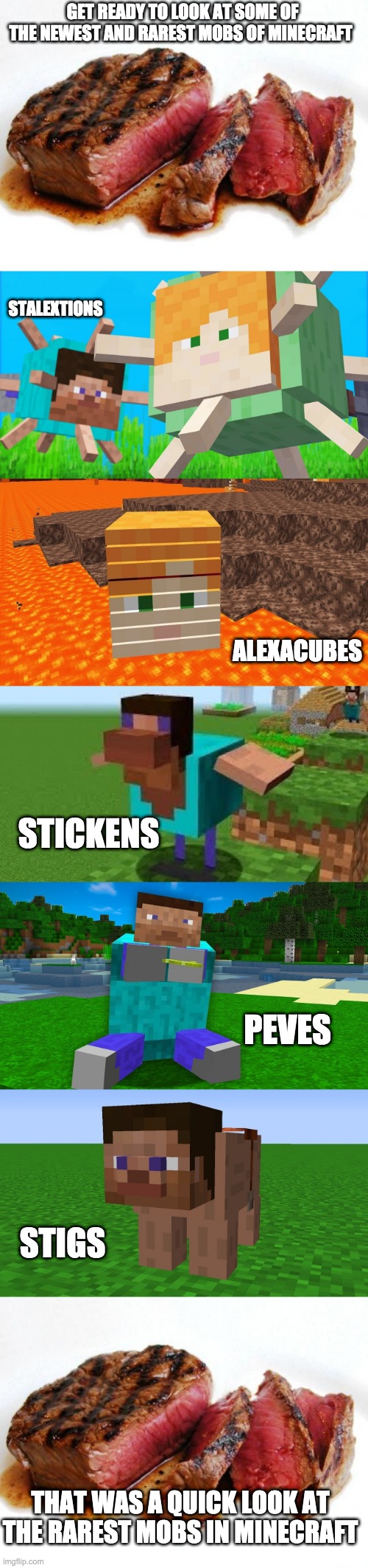 does anyone else get the steak pun? | GET READY TO LOOK AT SOME OF THE NEWEST AND RAREST MOBS OF MINECRAFT; STALEXTIONS; ALEXACUBES; STICKENS; PEVES; STIGS; THAT WAS A QUICK LOOK AT THE RAREST MOBS IN MINECRAFT | image tagged in rare steak | made w/ Imgflip meme maker
