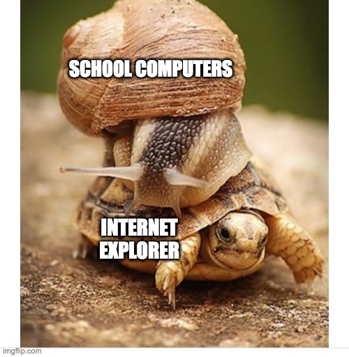 Hooray | SCHOOL COMPUTERS; INTERNET EXPLORER | image tagged in snail riding turtle | made w/ Imgflip meme maker