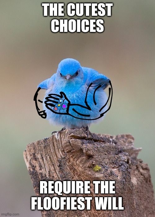 choose your notes wisely | THE CUTEST CHOICES; REQUIRE THE FLOOFIEST WILL | image tagged in thanos,birds | made w/ Imgflip meme maker