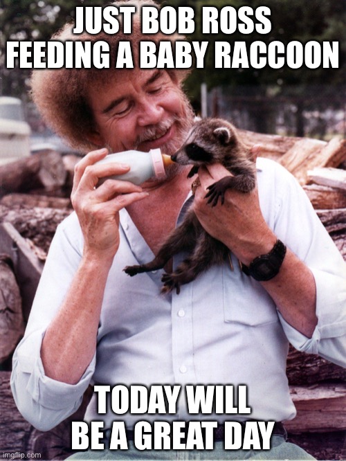 Bob Ross feeding a baby raccoon | JUST BOB ROSS FEEDING A BABY RACCOON; TODAY WILL BE A GREAT DAY | image tagged in aww,cute,wholesome | made w/ Imgflip meme maker