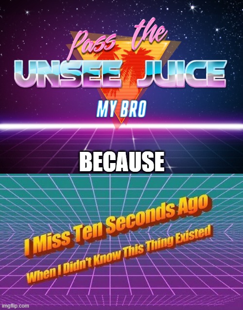 BECAUSE | image tagged in i miss ten seconds ago,pass the unsee juice my bro | made w/ Imgflip meme maker