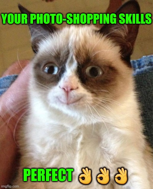 Grumpy Cat Happy Meme | PERFECT ??? YOUR PHOTO-SHOPPING SKILLS | image tagged in memes,grumpy cat happy,grumpy cat | made w/ Imgflip meme maker