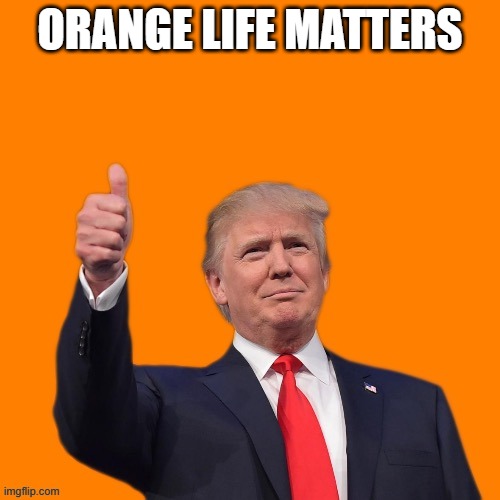 Orange Man | ORANGE LIFE MATTERS | image tagged in orange man | made w/ Imgflip meme maker